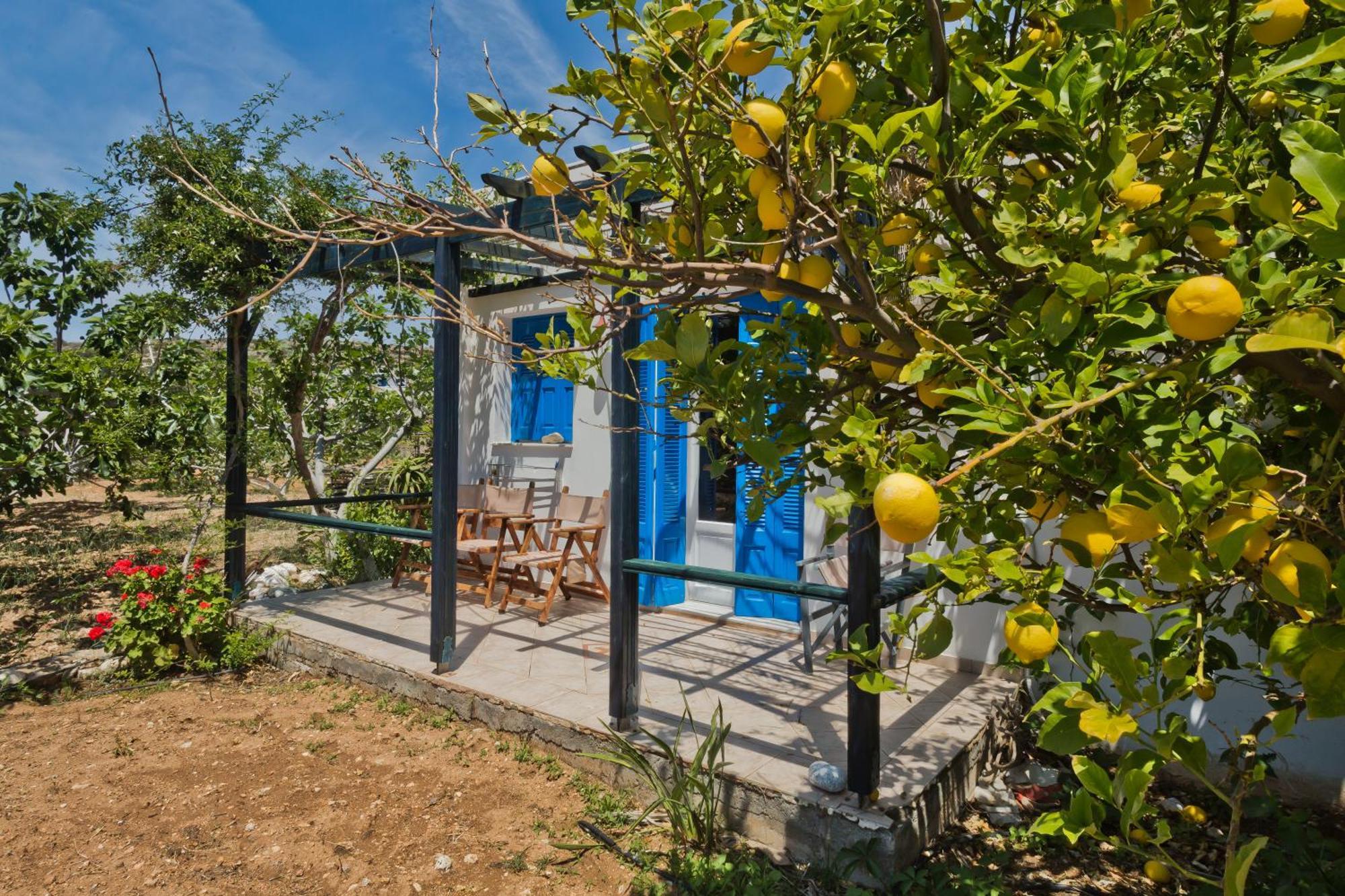 Pleiades Apartments Lefkos  Luaran gambar